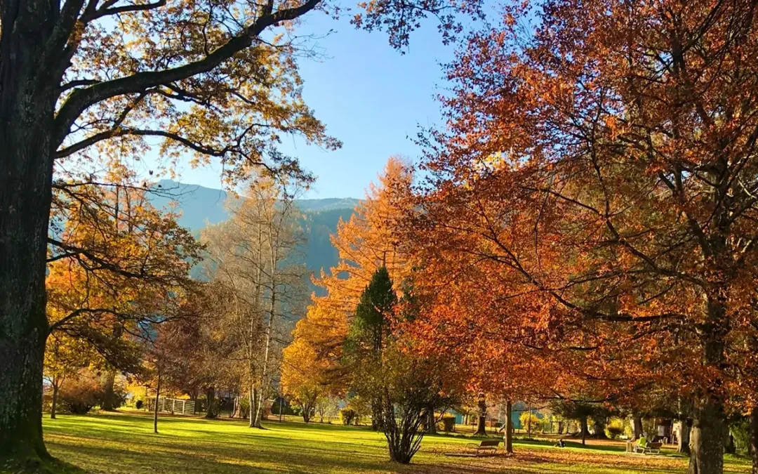 European Autumn Packing List