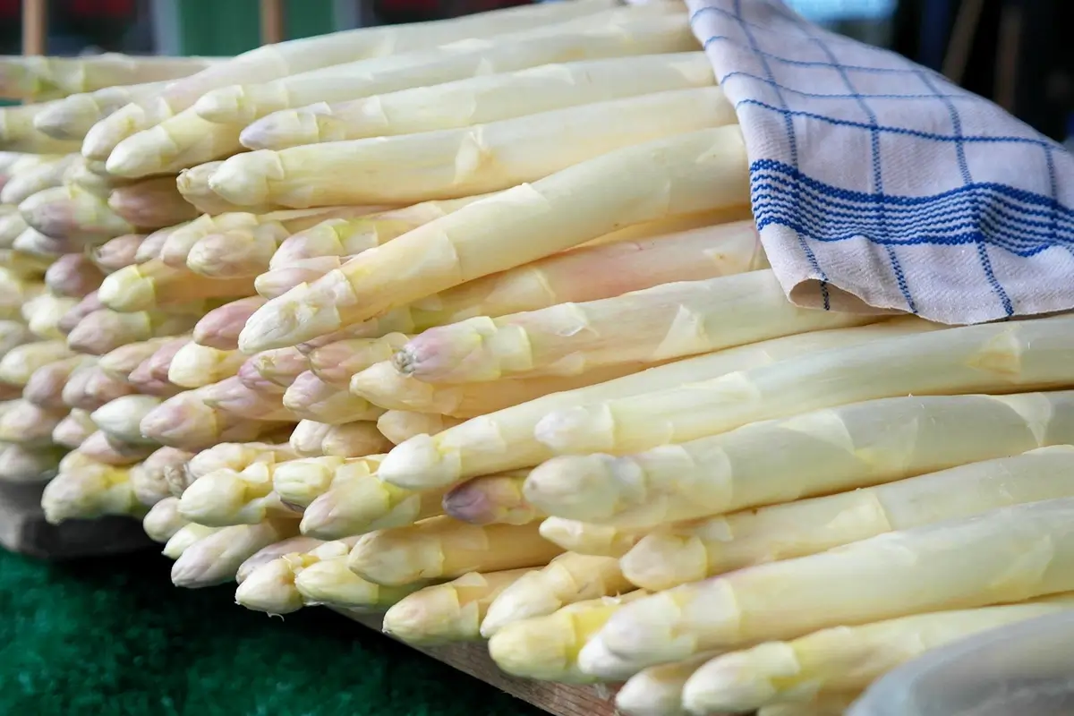 Bunches of fresh white asparagus partially covered by a blue and white striped cloth, arranged in a rustic presentation highlighting seasonal produce during Austrian Austria asparagus season and the traditional atmosphere of Spargelzeit Austria.