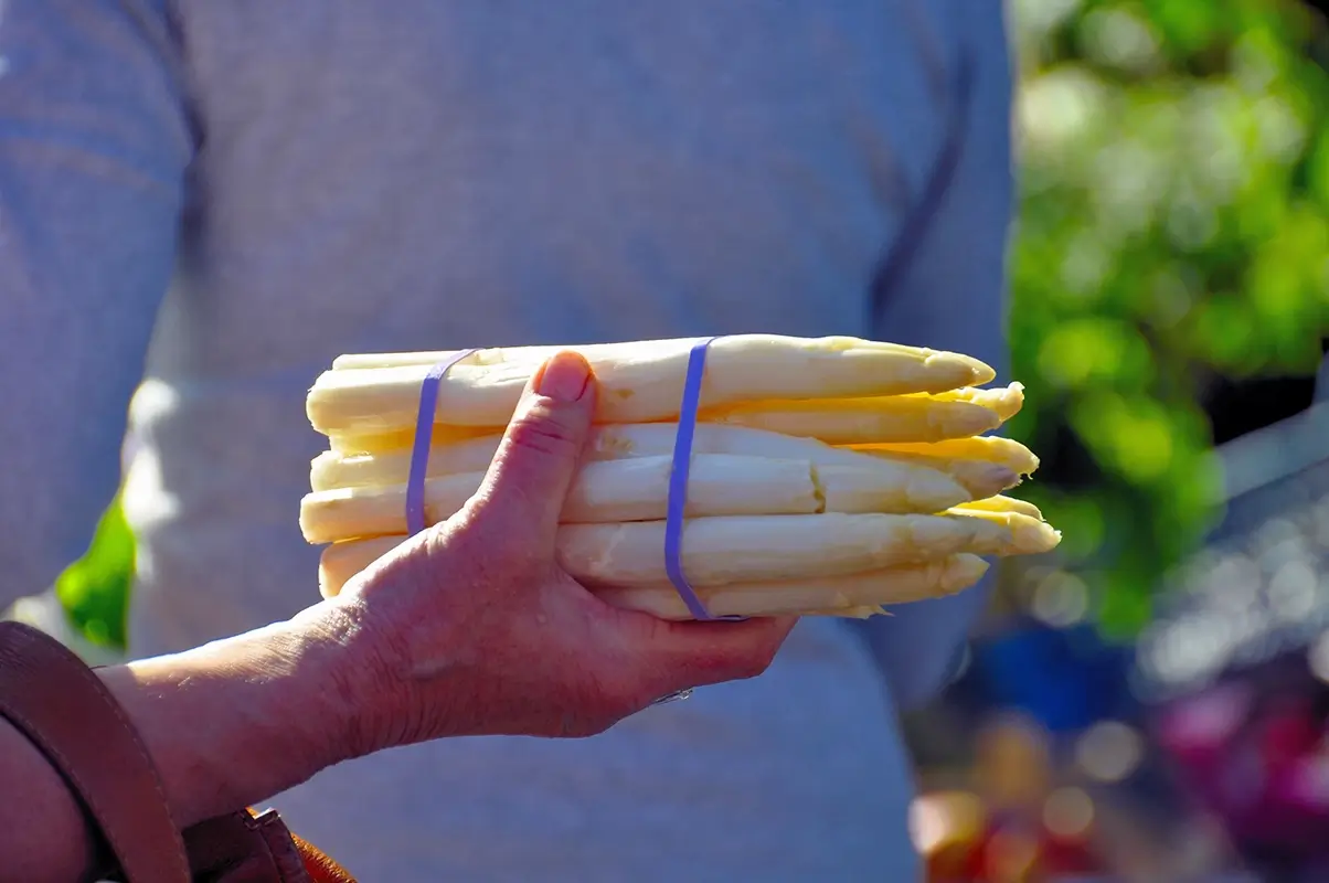 Person holding a fresh bunch of Austrian white asparagus in the foreground, with another person softly blurred in the background, capturing a candid moment during Austrian Austria asparagus season and the festive atmosphere of Spargelzeit Austria.