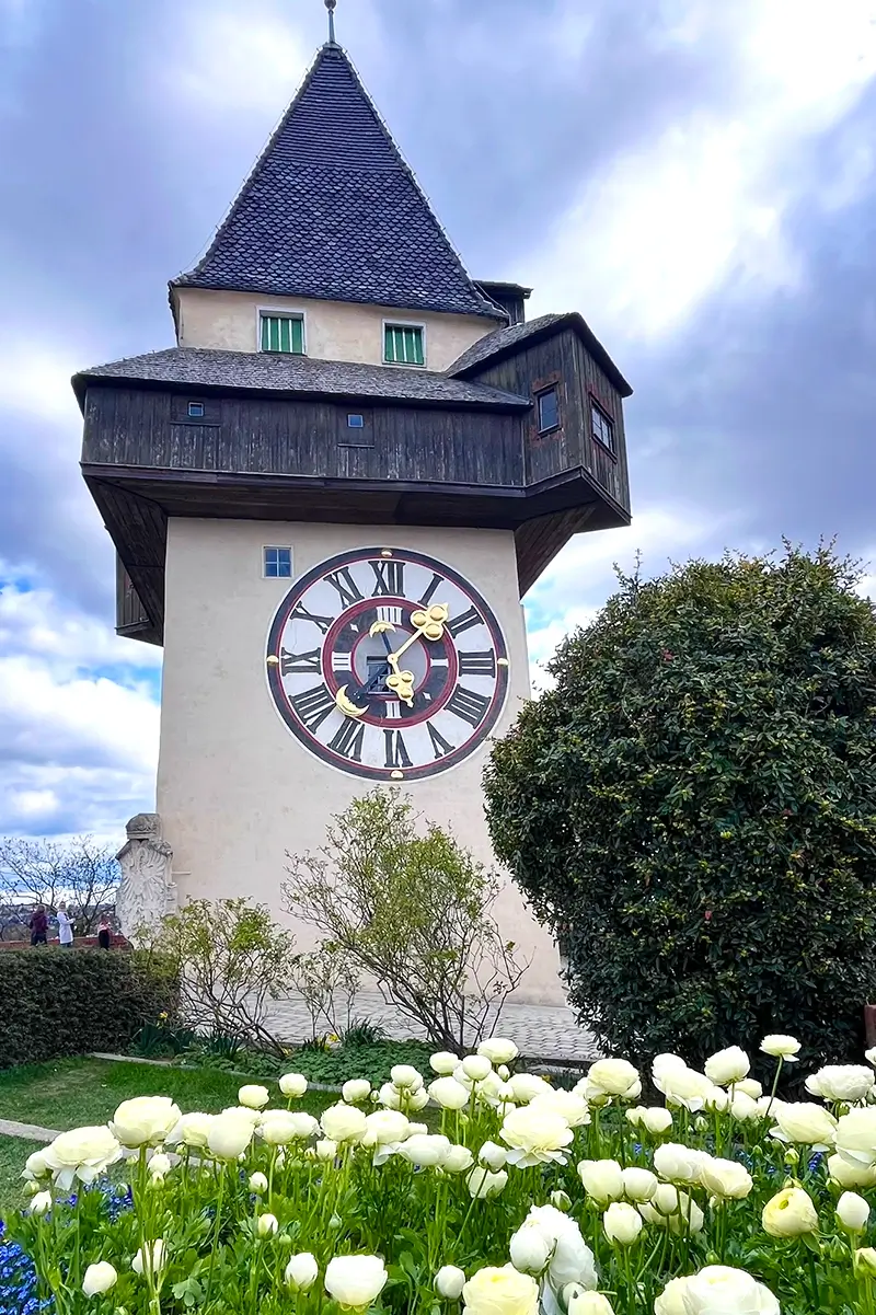 View of the Graz Uhrturm (clock Tower) with white spring flowers in the foreground - one of the top things to do in Graz.